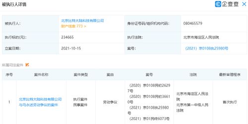 比特大陆公司新增被执行人 执行标的为23万